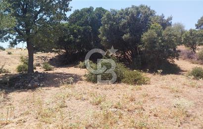 Çanakkale Ayvacık Budaklar Villa Arsası