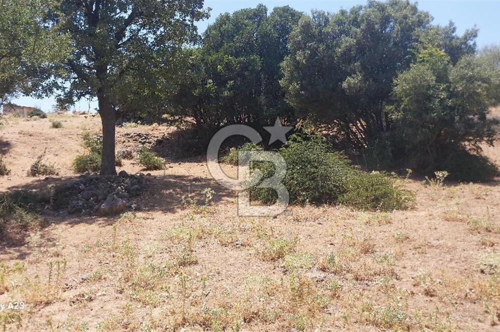 Çanakkale Ayvacık Budaklar Villa Arsası