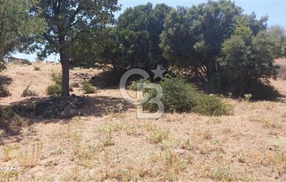 Çanakkale Ayvacık Budaklar Villa Arsası