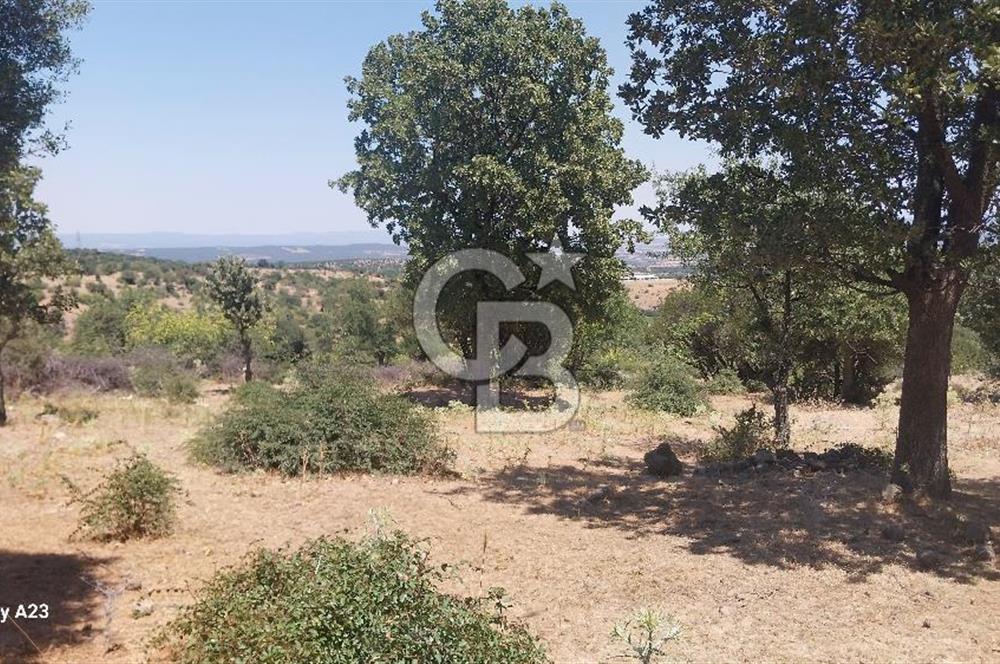 Çanakkale Ayvacık Budaklar Villa Arsası