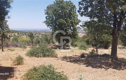 Çanakkale Ayvacık Budaklar Villa Arsası