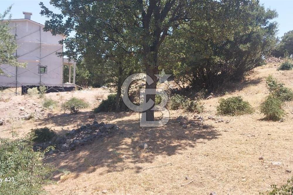 Çanakkale Ayvacık Budaklar Villa Arsası
