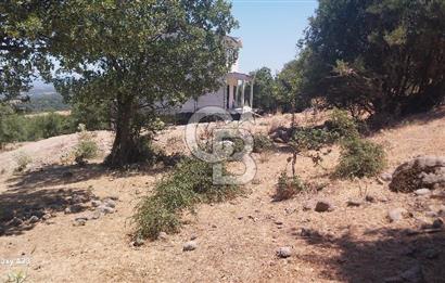 Çanakkale Ayvacık Budaklar Villa Arsası