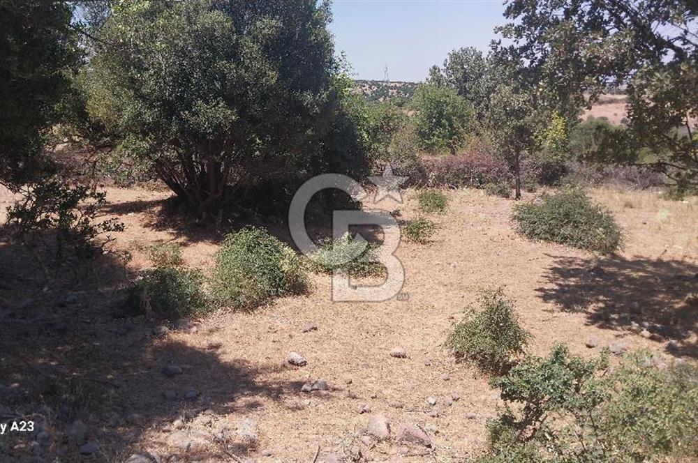 Çanakkale Ayvacık Budaklar Villa Arsası