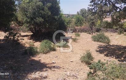 Çanakkale Ayvacık Budaklar Villa Arsası
