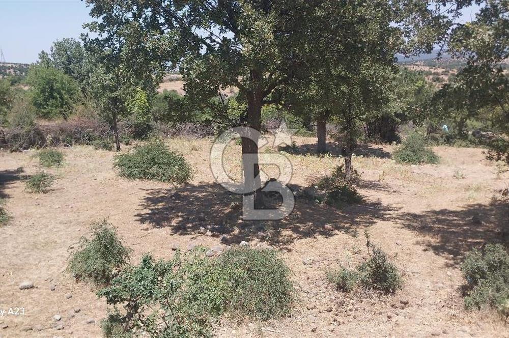 Çanakkale Ayvacık Budaklar Villa Arsası