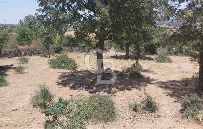 Çanakkale Ayvacık Budaklar Villa Arsası