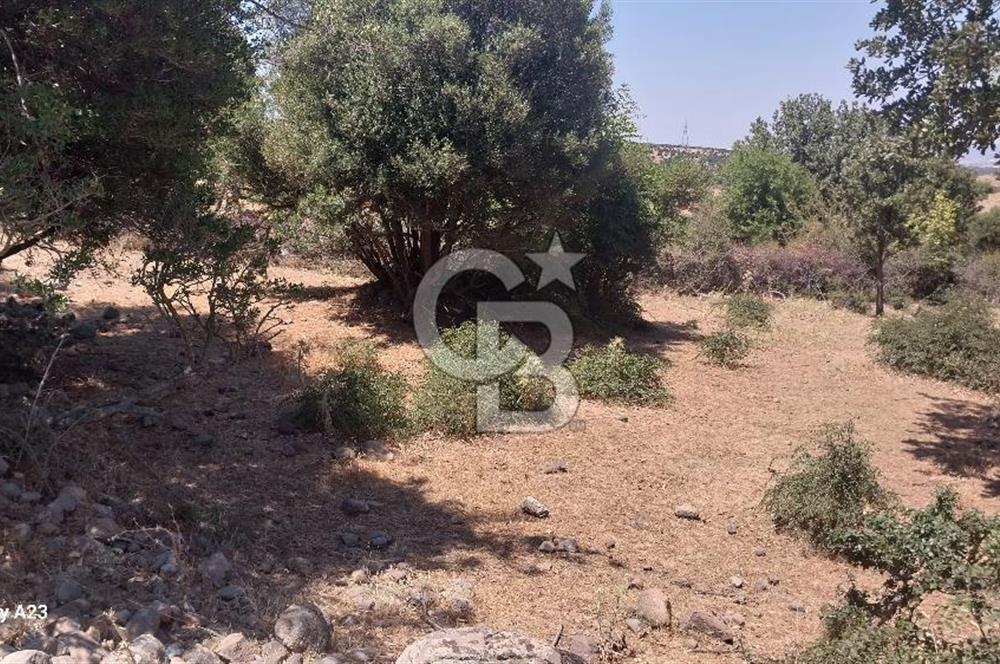 Çanakkale Ayvacık Budaklar Villa Arsası