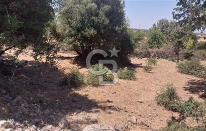 Çanakkale Ayvacık Budaklar Villa Arsası