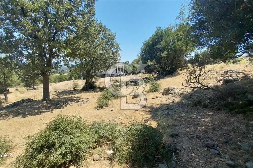 Çanakkale Ayvacık Budaklar Villa Arsası