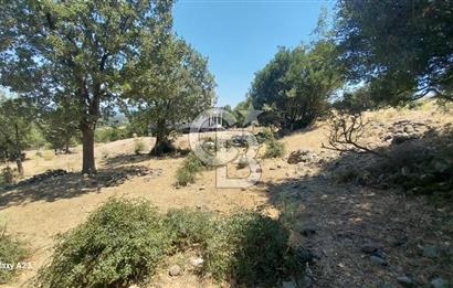Çanakkale Ayvacık Budaklar Villa Arsası