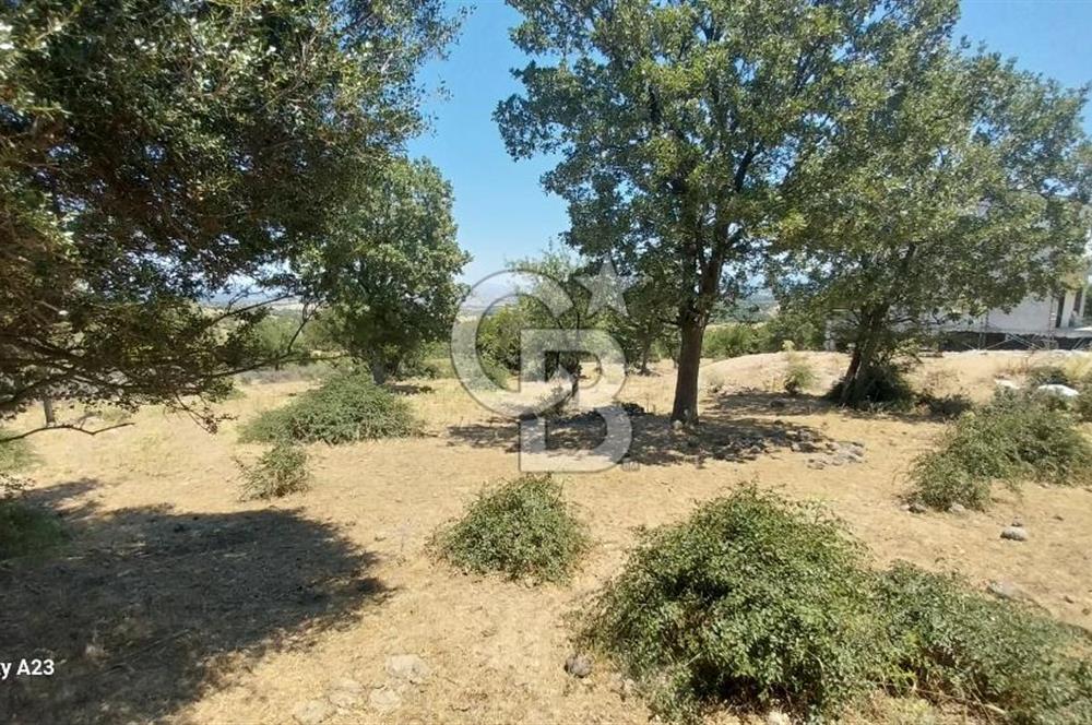 Çanakkale Ayvacık Budaklar Villa Arsası