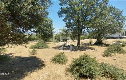 Çanakkale Ayvacık Budaklar Villa Arsası