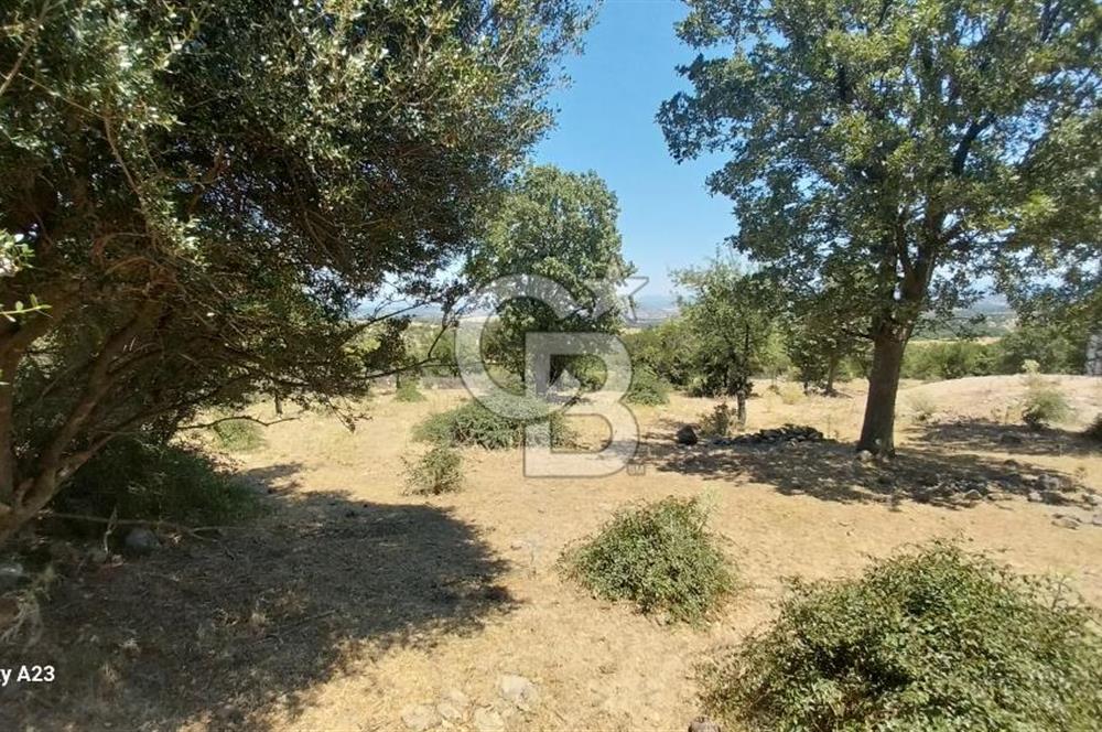 Çanakkale Ayvacık Budaklar Villa Arsası