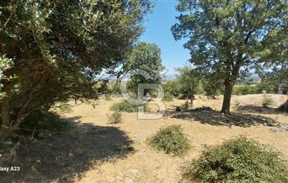 Çanakkale Ayvacık Budaklar Villa Arsası