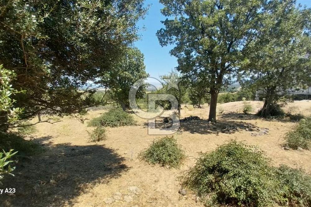 Çanakkale Ayvacık Budaklar Villa Arsası