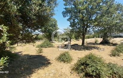 Çanakkale Ayvacık Budaklar Villa Arsası