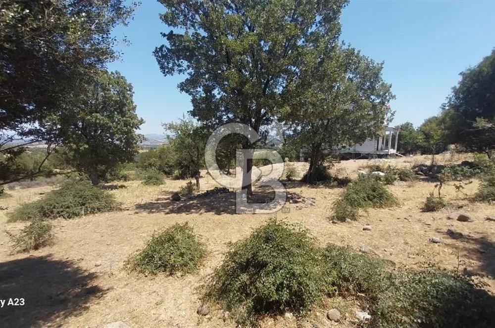 Çanakkale Ayvacık Budaklar Villa Arsası