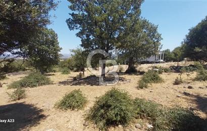 Çanakkale Ayvacık Budaklar Villa Arsası