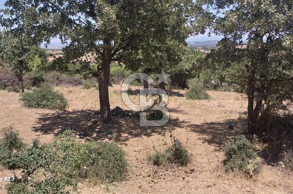 Çanakkale Ayvacık Budaklar Villa Arsası