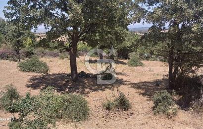Çanakkale Ayvacık Budaklar Villa Arsası