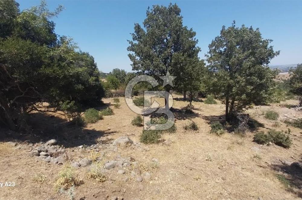 Çanakkale Ayvacık Budaklar Villa Arsası