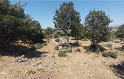 Çanakkale Ayvacık Budaklar Villa Arsası