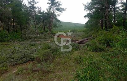 ÇANAKKALE İLİ ECEABAT İLÇESİ YALOVA KÖYÜ SATILIK 5.3 DÖNÜM TARLA