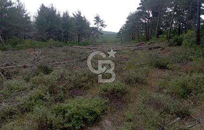 ÇANAKKALE İLİ ECEABAT İLÇESİ YALOVA KÖYÜ SATILIK 5.3 DÖNÜM TARLA