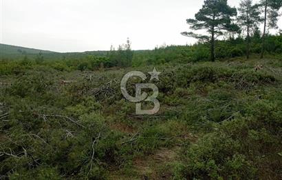 ÇANAKKALE İLİ ECEABAT İLÇESİ YALOVA KÖYÜ SATILIK 5.3 DÖNÜM TARLA