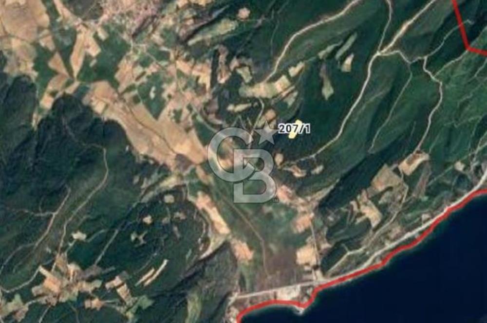 ÇANAKKALE İLİ ECEABAT İLÇESİ YALOVA KÖYÜ SATILIK 5.3 DÖNÜM TARLA
