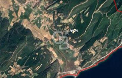 ÇANAKKALE İLİ ECEABAT İLÇESİ YALOVA KÖYÜ SATILIK 5.3 DÖNÜM TARLA