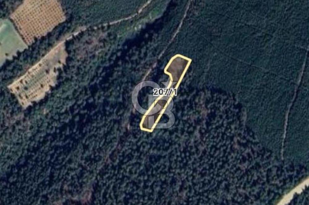 ÇANAKKALE İLİ ECEABAT İLÇESİ YALOVA KÖYÜ SATILIK 5.3 DÖNÜM TARLA