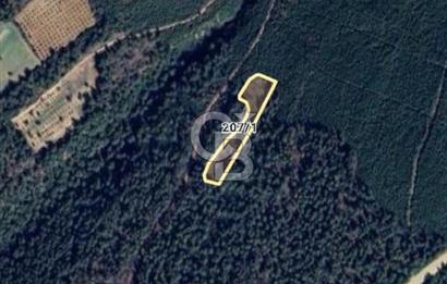 ÇANAKKALE İLİ ECEABAT İLÇESİ YALOVA KÖYÜ SATILIK 5.3 DÖNÜM TARLA