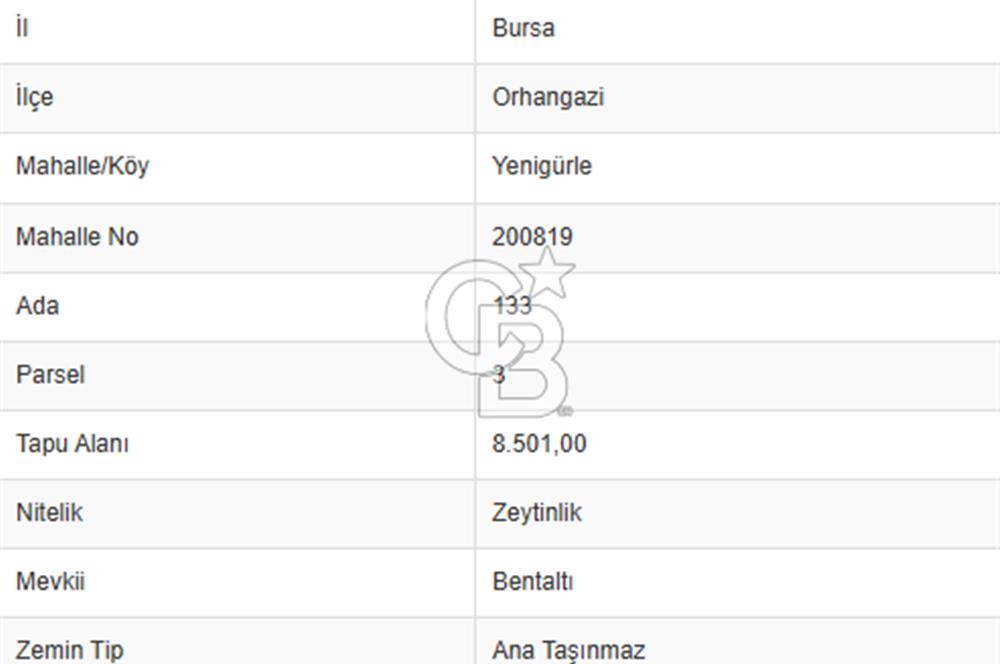 CB CLASS BURSA -ORHANGAZİ- YENİGÜRLE 8.501 m² ZEYTİNLİK