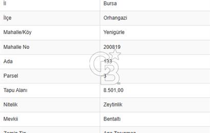 CB CLASS BURSA -ORHANGAZİ- YENİGÜRLE 8.501 m² ZEYTİNLİK