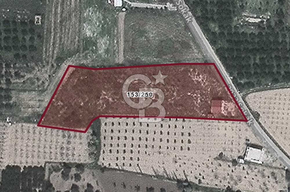KEMALPAŞA AŞAĞI KIZILCA KARABAĞLAR MEVKINDE SATILIK BAHÇE