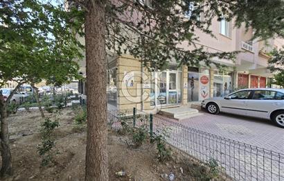 COLDWELL BANKER'DAN ŞEHİR MERKEZİNDE KİRALIK OFİS