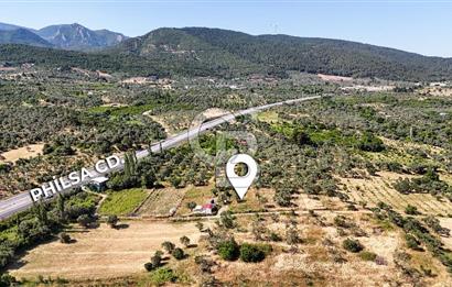 KEMALPAŞA VİŞNELİDE 1.245 M2 TARLA