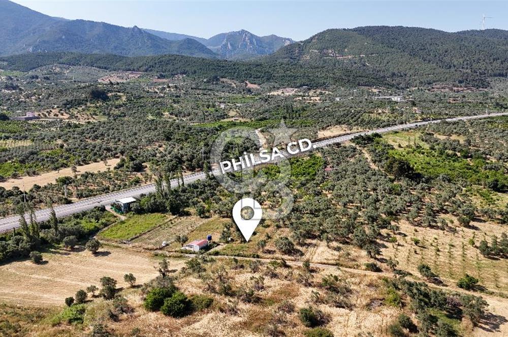 KEMALPAŞA VİŞNELİDE 1.245 M2 TARLA