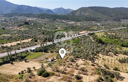 KEMALPAŞA VİŞNELİDE 1.245 M2 TARLA