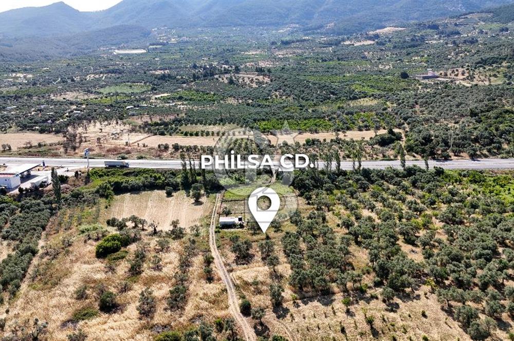 KEMALPAŞA VİŞNELİDE 1.245 M2 TARLA