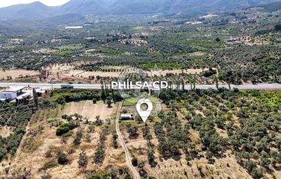 KEMALPAŞA VİŞNELİDE 1.245 M2 TARLA