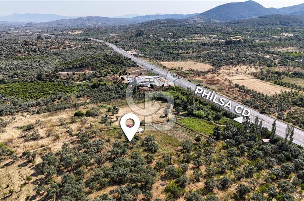 KEMALPAŞA VİŞNELİDE 1.245 M2 TARLA