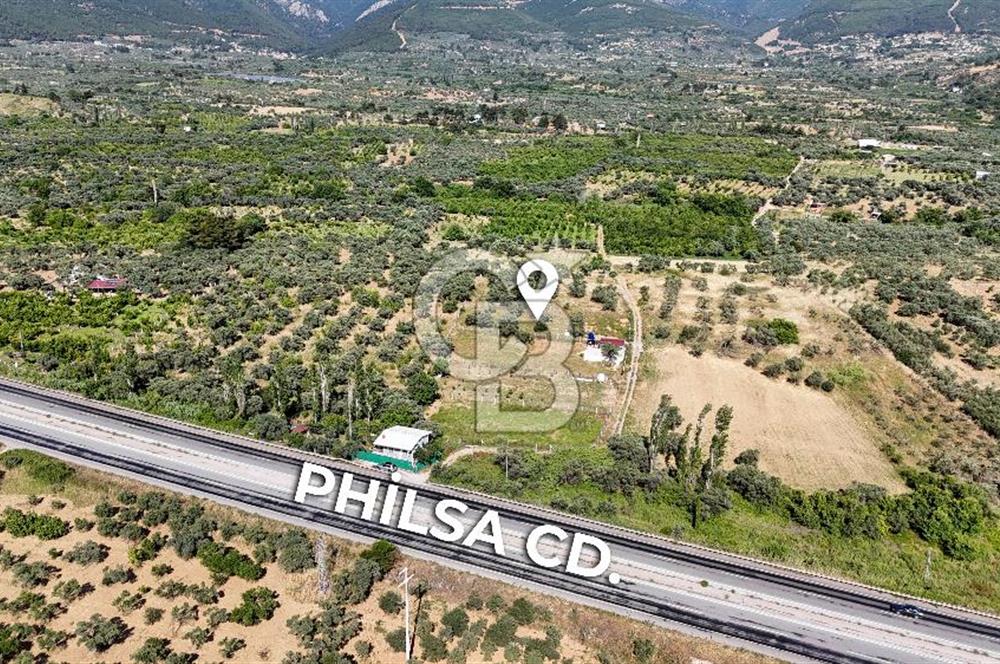 KEMALPAŞA VİŞNELİDE 1.245 M2 TARLA