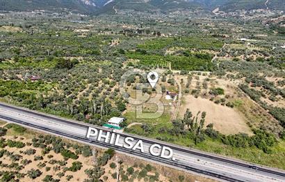 KEMALPAŞA VİŞNELİDE 1.245 M2 TARLA