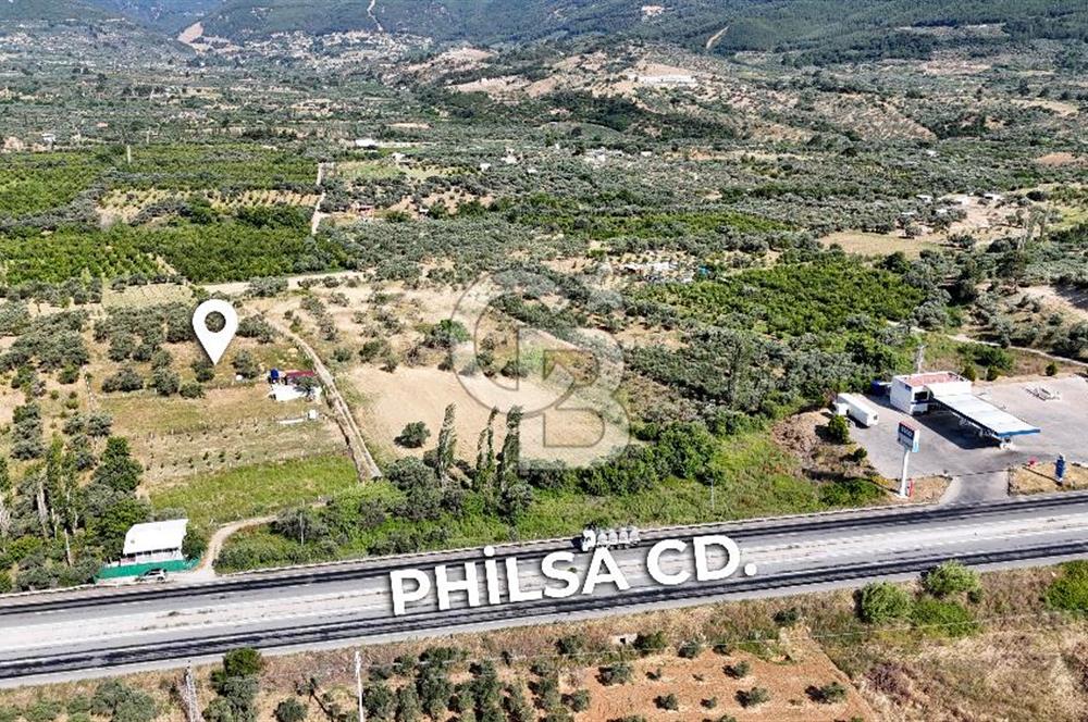 KEMALPAŞA VİŞNELİDE 1.245 M2 TARLA
