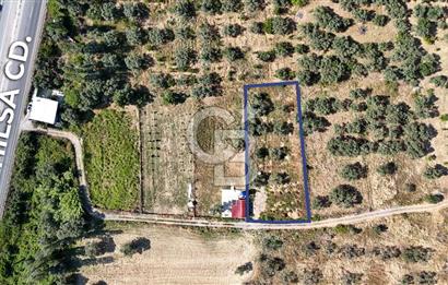 KEMALPAŞA VİŞNELİDE 1.245 M2 TARLA