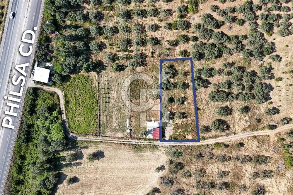 KEMALPAŞA VİŞNELİDE 1.245 M2 TARLA