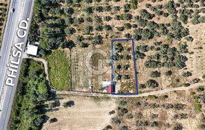 KEMALPAŞA VİŞNELİDE 1.245 M2 TARLA